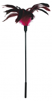 Бдсм и фетиш, перья