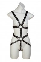 Сбруя мужская с кольцами и манжетами photo 1